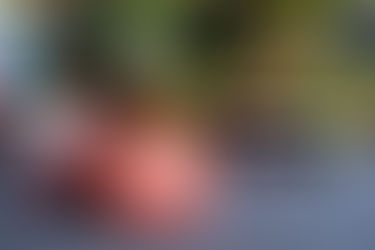 Finding the Right Fit: What to expect from your introductory call