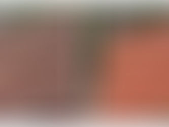 Before and after tile roof cleaning showing dark algae stains removed and tiles restored to a clean surface