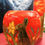 Thumbnail: We love this! A rabbit sniffing a Daffodil 19 cm vase entirely hand painted NEW