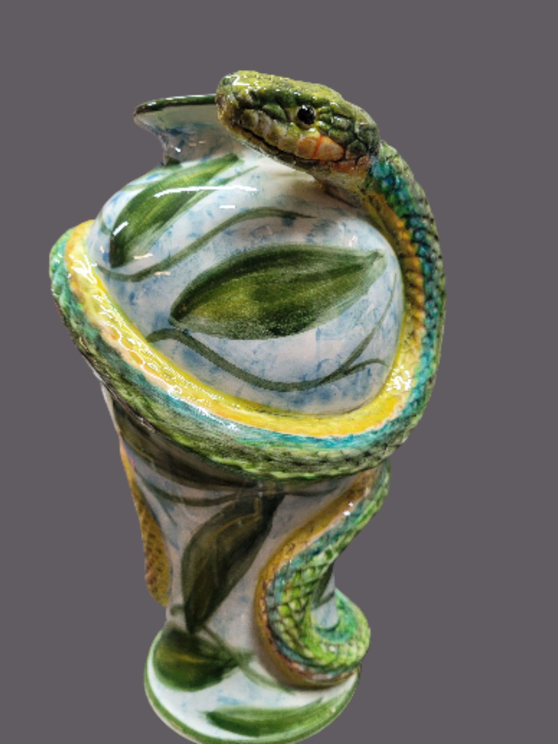  Stunning Australian non venemous tree snake wrapped around a 10 inch vase 
