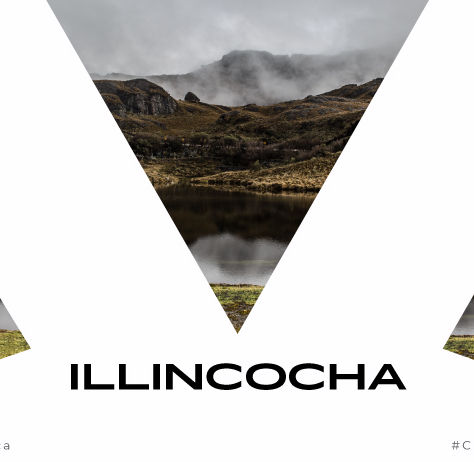 Un proyecto desde el "shungo"