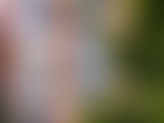 #TeRetoCuarentena: Serie de Artículos - ensayo fotografía y texto
