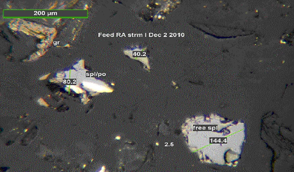 Photomicrograph of Feed