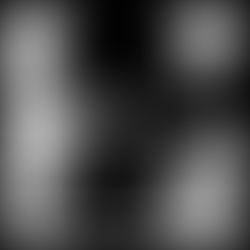 We are what we eat: Vegan Cat Food Diet