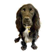 image10.jpeg