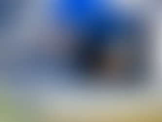 Roof Repair or Replacement…Which is Right for You?