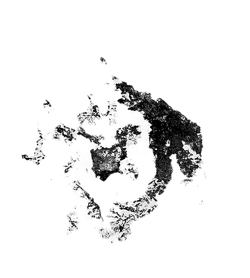 Print design developed by self-taught artist Merry Harpin – sinister black Pig/Man face on white paper