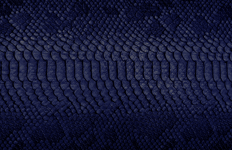 snake background.png