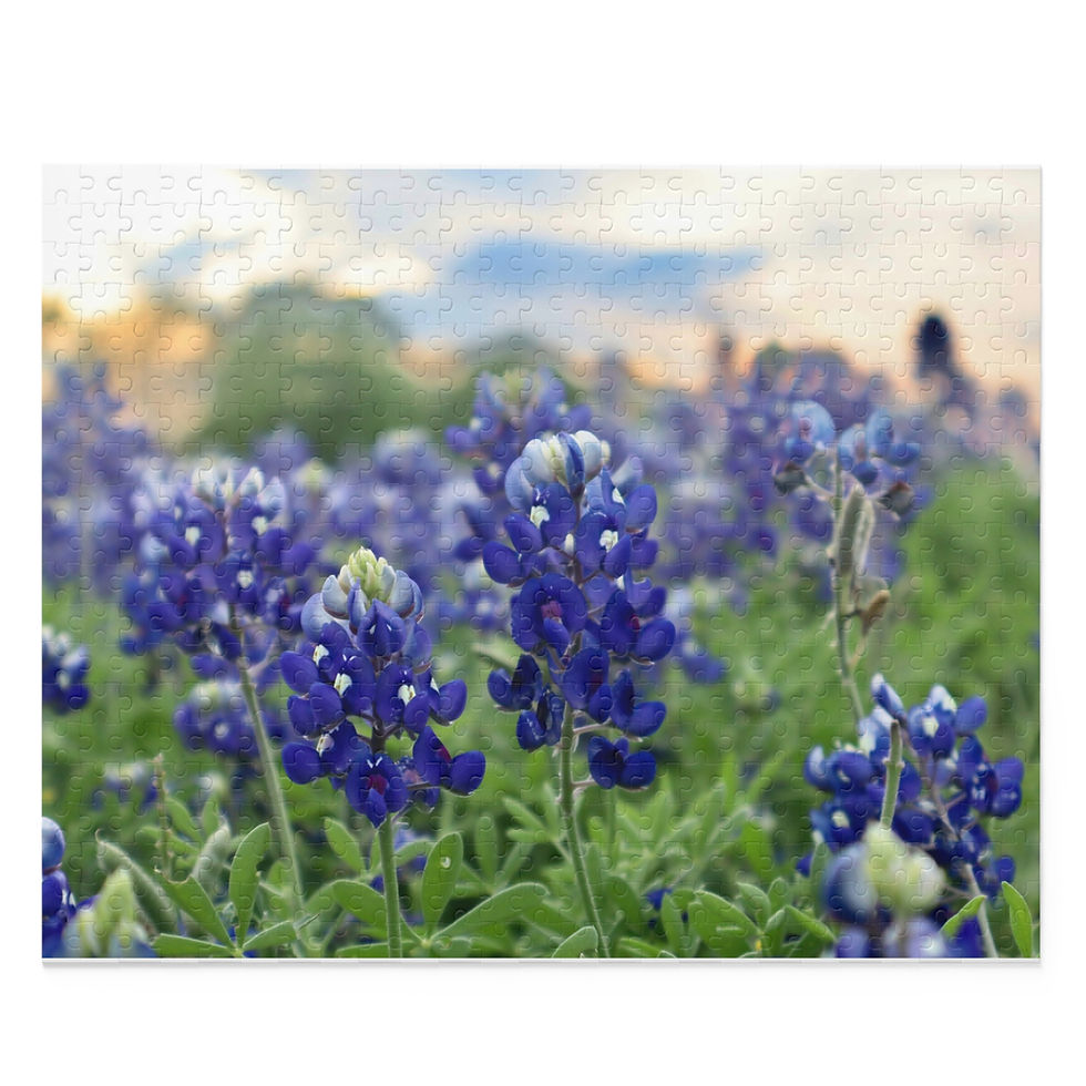 Thumbnail: Bluebonnet Field Jigsaw Puzzle - 120/252/500-Piece