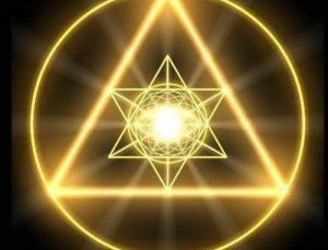 What If All The Living Beings Would be One