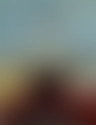 The Dalai Lama's Cat By David Michie