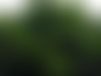 Your silent exaltation