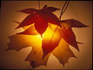 Innumerate blessings