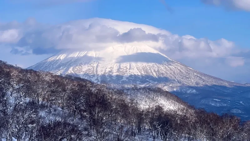 Der verschneite Yotei unter blauem Himmel über den Wäldern Hokkaidos