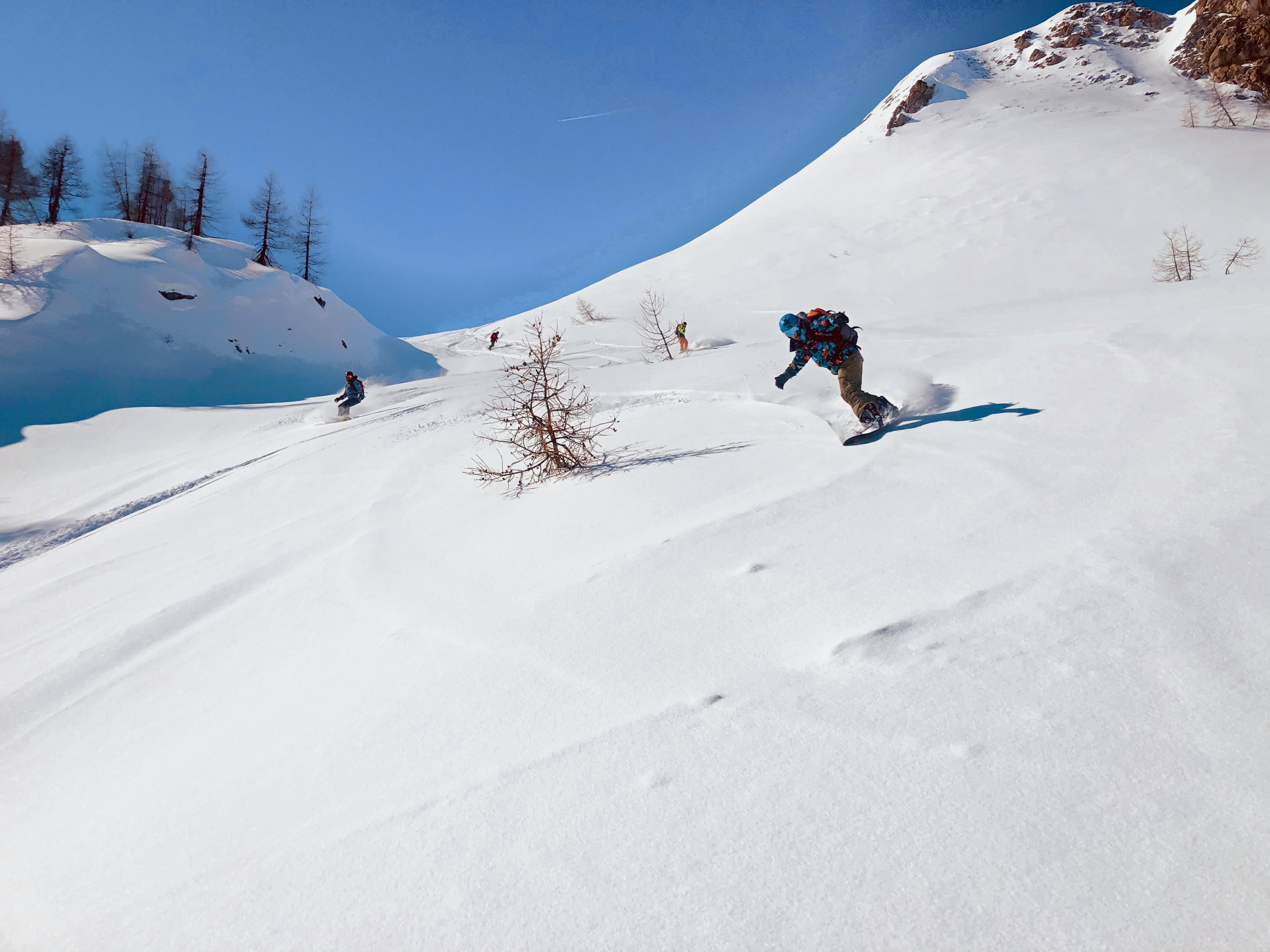 Freeride-Snowboard: Snowboarder im Schwung auf offenem Hang mit Lärchen, ein zweiter Fahrer weiter unten