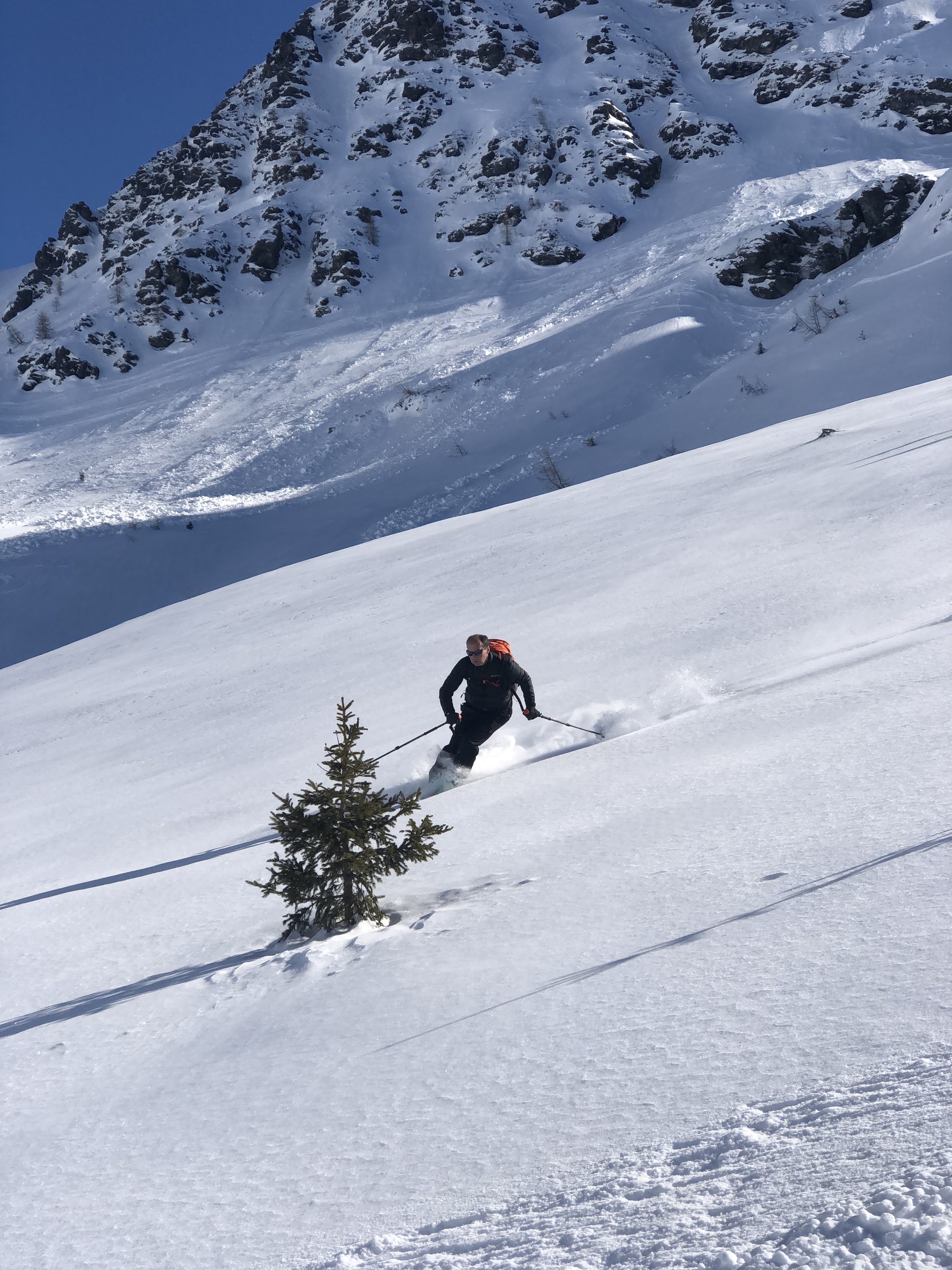 Skier descending an untracked sunny slope next to a lone fir tree