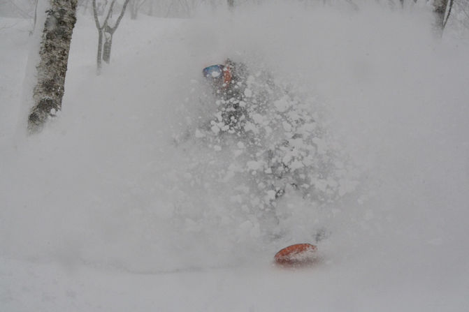 Backcountry-skiing-Niseko.jpeg