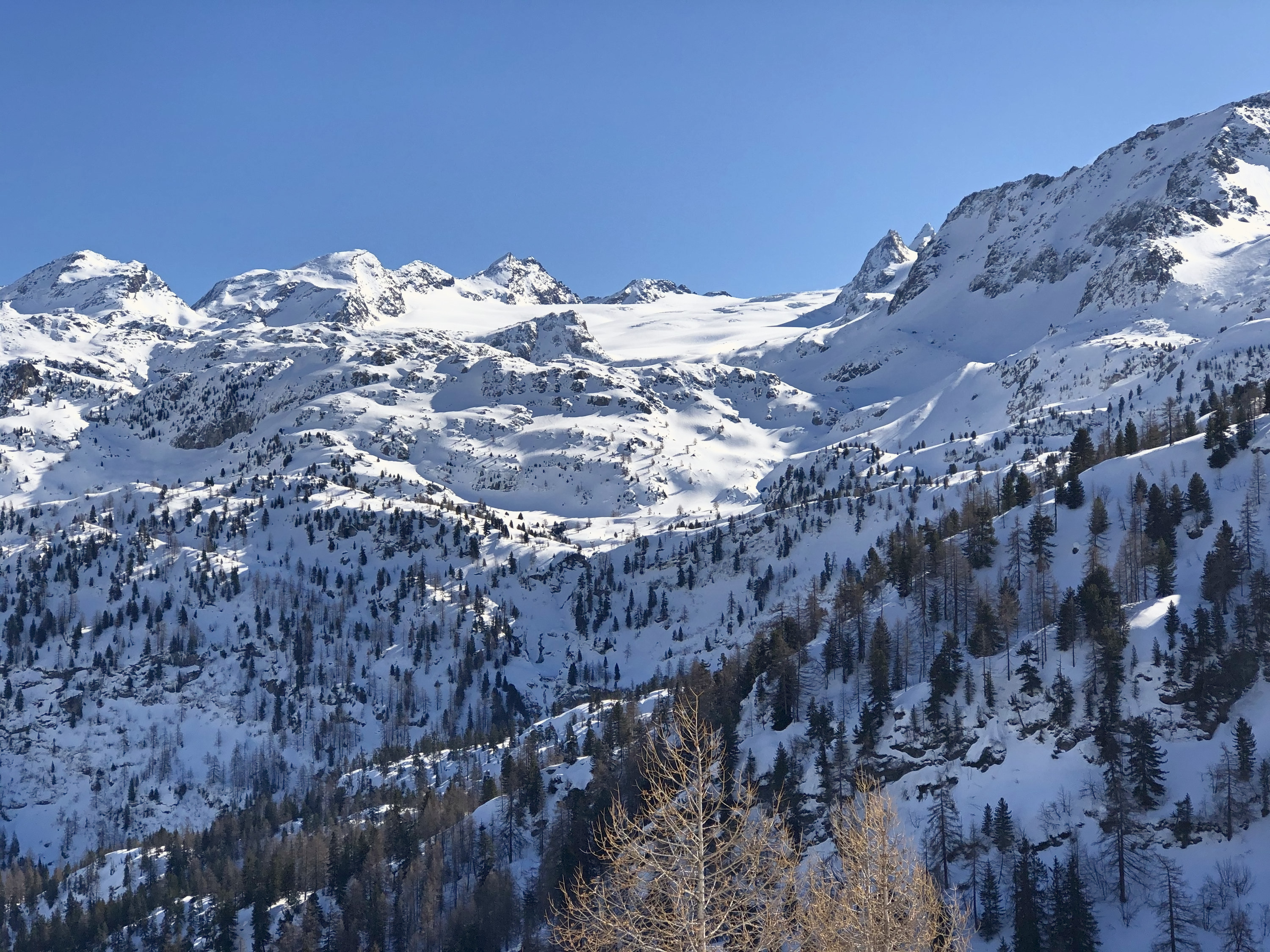 Heliskiing abseits der Lifte: wildes Tal mit verschneitem Lärchen- und Tannenwald, dahinter Gletscher und Gipfel