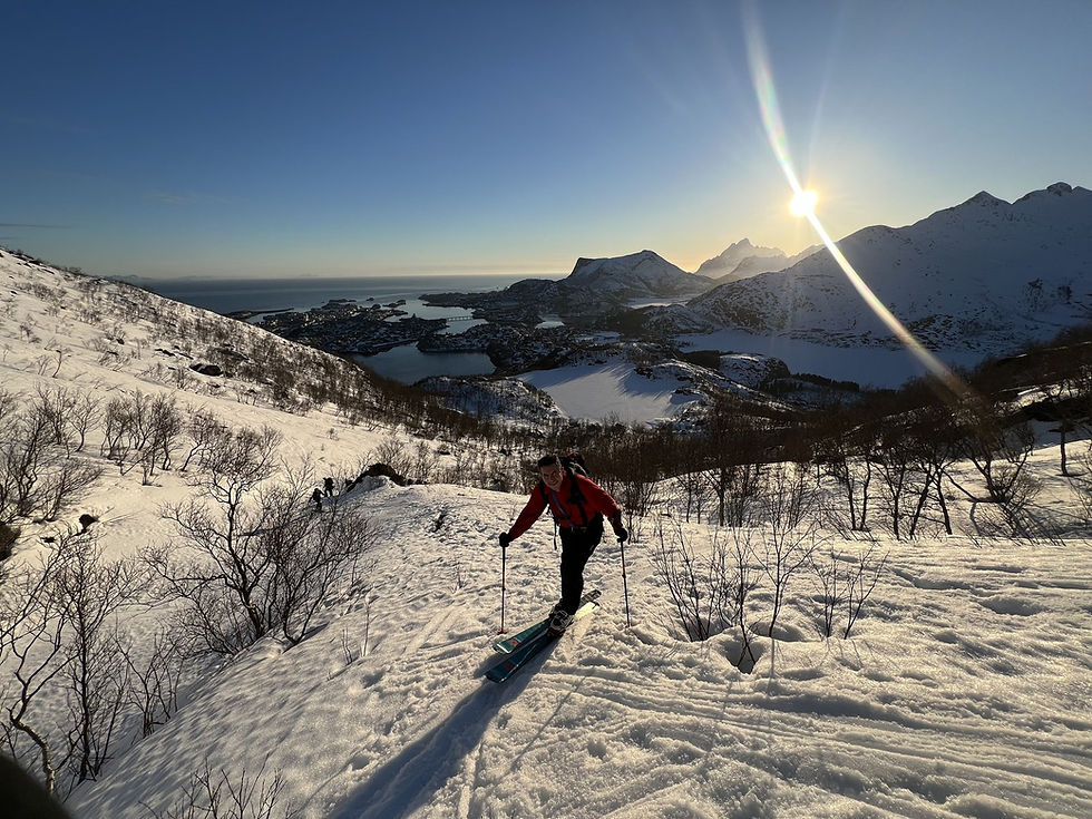 Un skieur souriant monte en peaux entre des bouleaux aux Lofoten, la mer et les îles éclairées par un soleil bas derrière lui