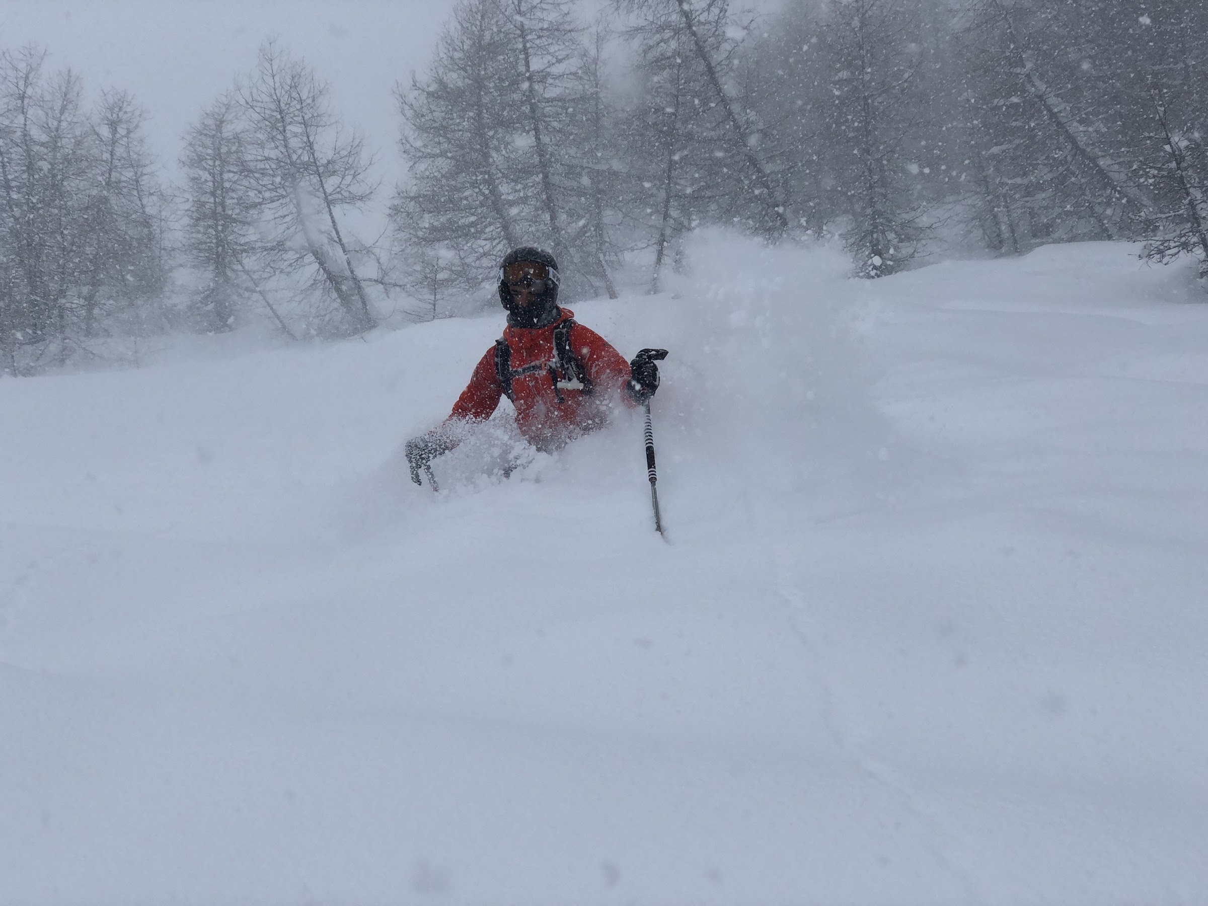 Skifahrer hüfttief im Pulverschnee bei Schneefall zwischen Lärchen
