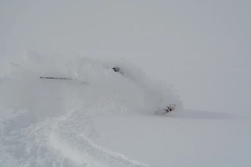 Skispitze und Stock ragen aus einer Wolke aus Pulverschnee