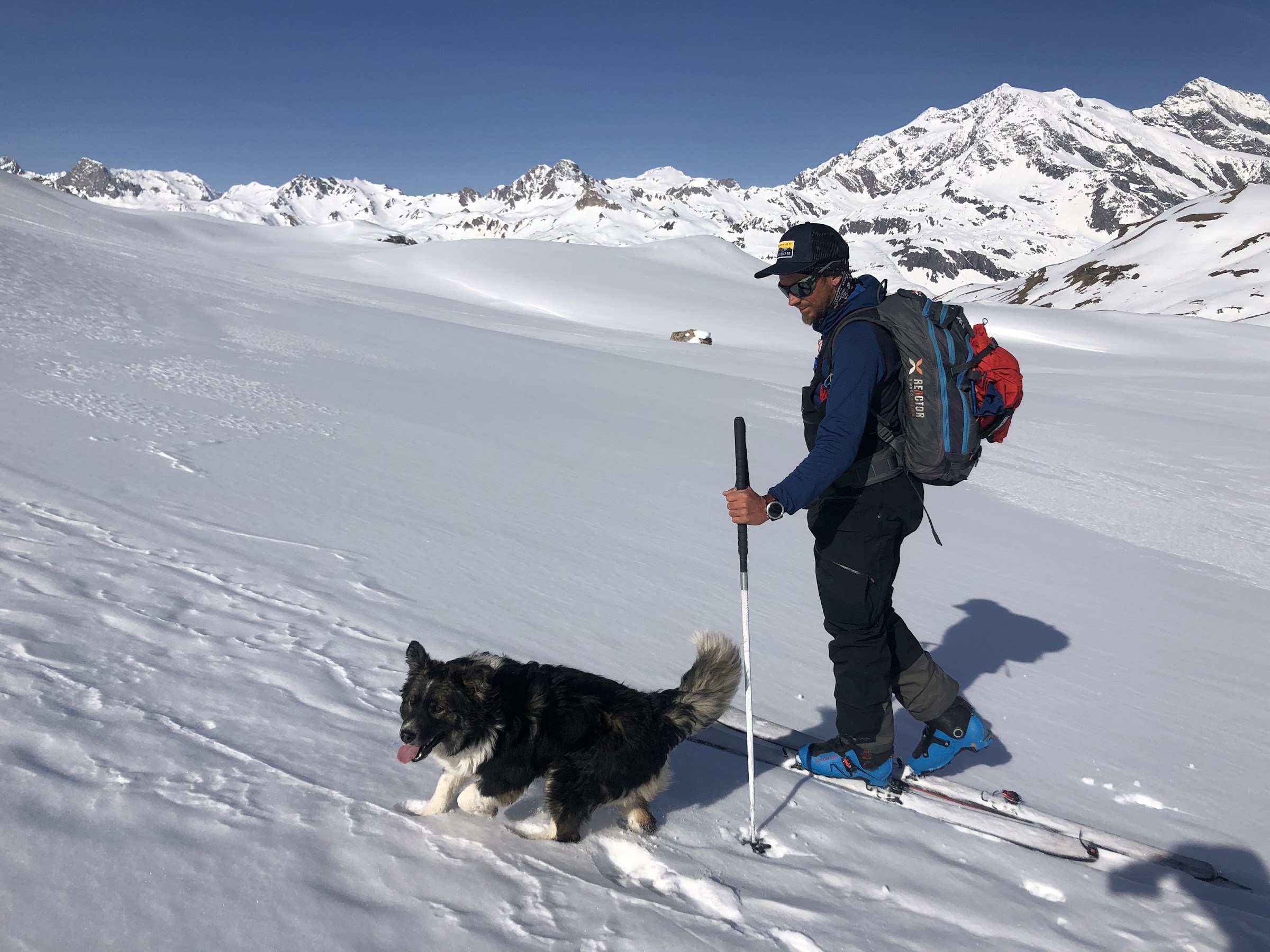 Skieur de randonnée accompagné d'un chien noir et blanc sur une pente enneigée, sommets au loin