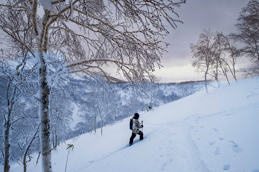 Niseko côté sauvage : les portes qui ouvrent la plus belle poudreuse d'Hokkaido
