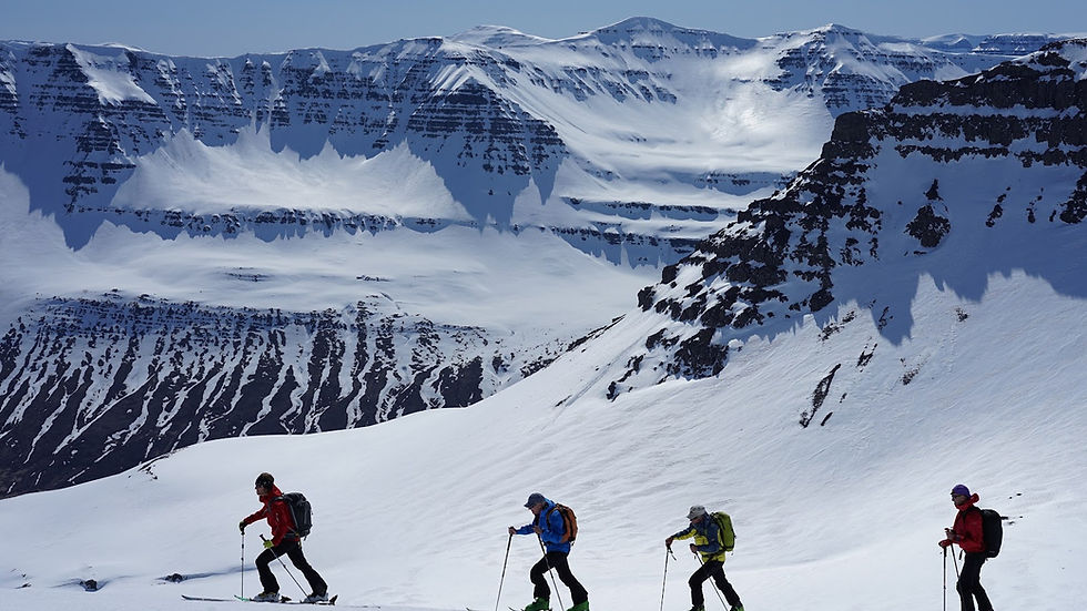 Vier Skifahrer im Fellaufstieg, hintereinander auf einem breiten Rücken der Tröllaskagi, große Schneeflanke und klarer Himmel.
