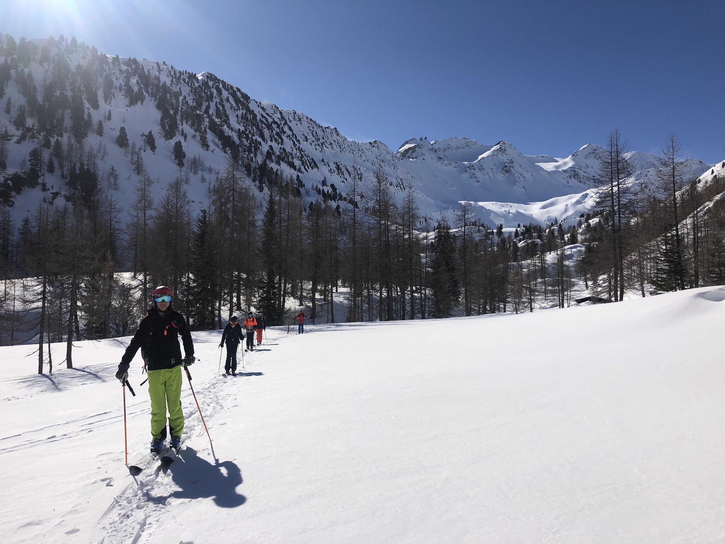 Gruppe beim Aufstieg mit Fellen im Gänsemarsch durch ein Lärchental, verschneite Gipfel dahinter