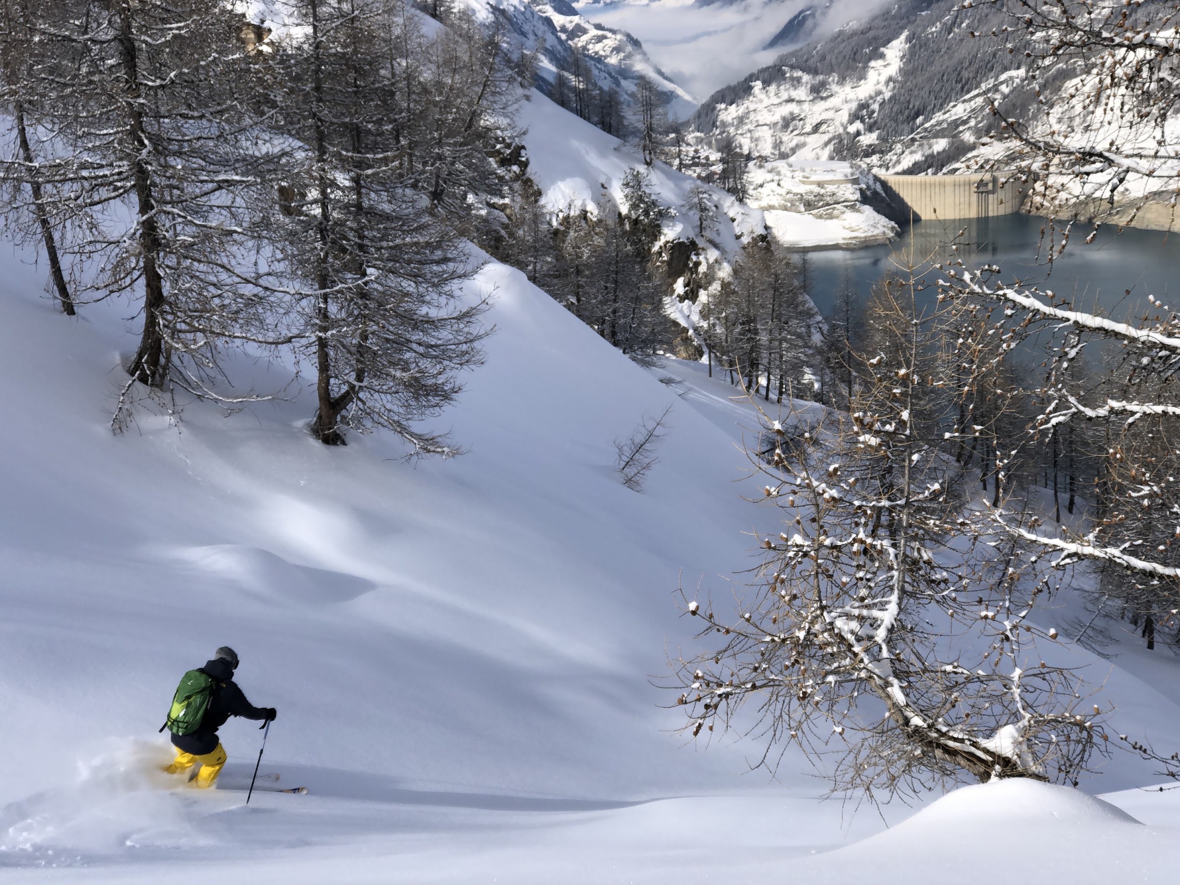 A skier in powder among larch trees above the Chevril dam and its reservoir