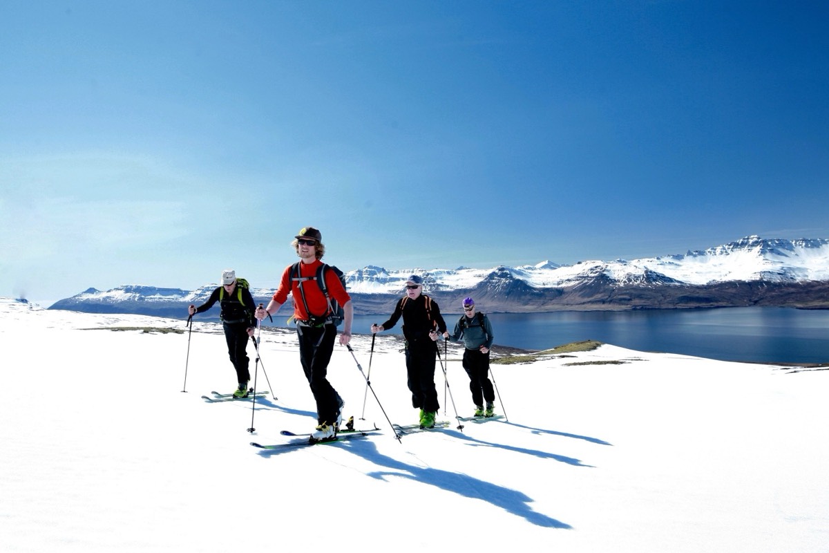 Skieurs en peau de phoque sur une croupe du Tröllaskagi, fjord et océan Arctique en contrebas, héli-rando en Islande