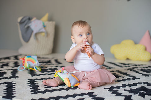 taf toys october 2016 studio shoot-445.jpg