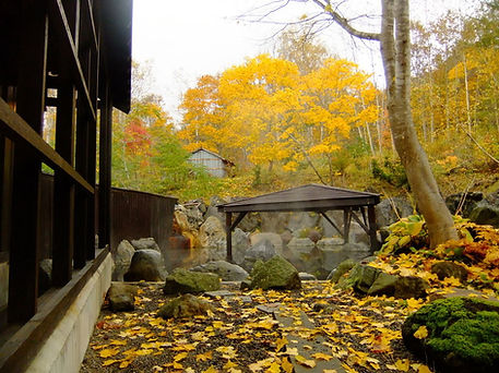 Hokkaido Niseko Annupuri Onsen.jpg
