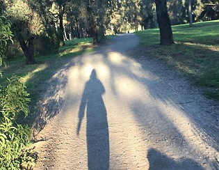 Shadow of a woman walking with dog