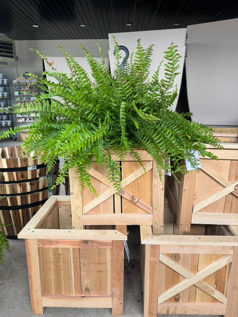 Cedar Planter (small)