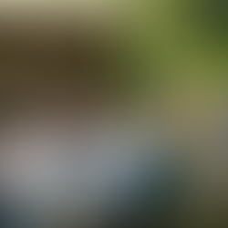 Bridging Generations with Gentle Hearts: The Magic of Golden Visits