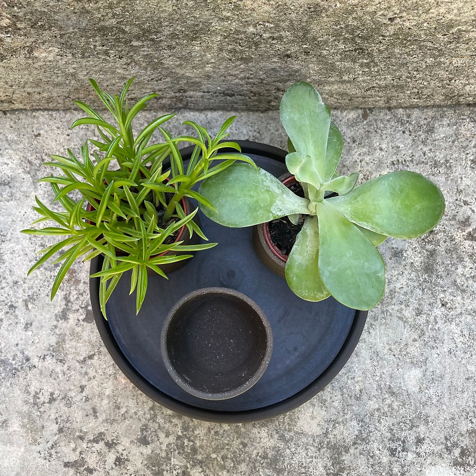 Miniature : Plateau trio grès noir (en pré-commande*)