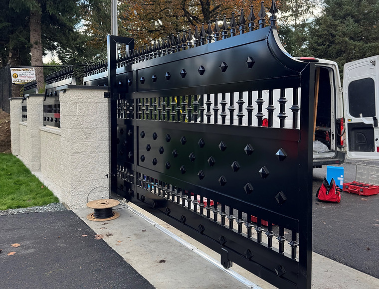 black design lsiding gate_edited.jpg
