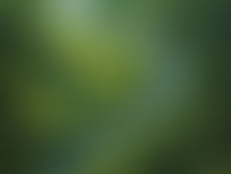 Pourquoi êtes-vous constipé quand vous voyagez ?