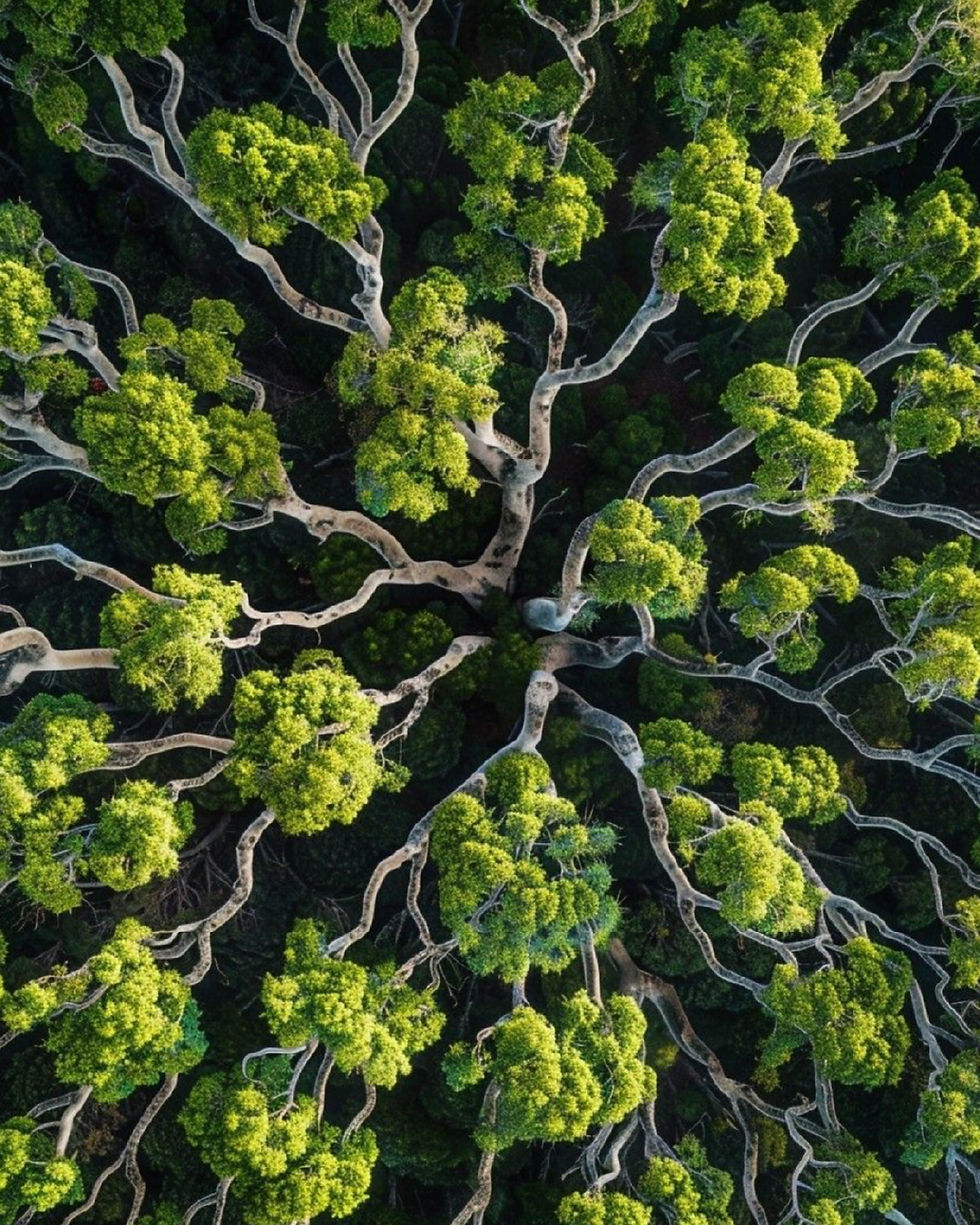 Pourquoi êtes-vous plus ballonné le soir ?