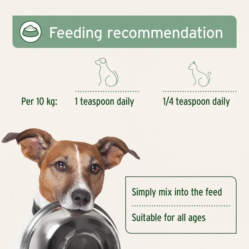 Thumbnail: AniForte® Salmon Oil - For Dogs, Cats and Horses 500ml