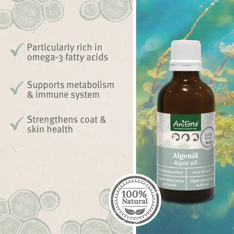  Algae Oil