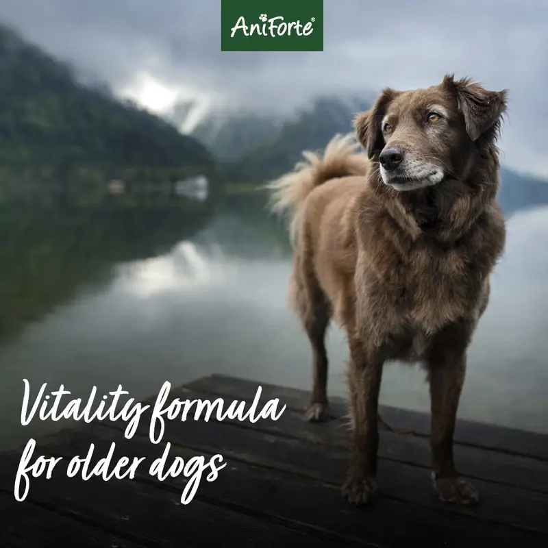 Thumbnail: Senior Active Supplement 250g - Vitality &