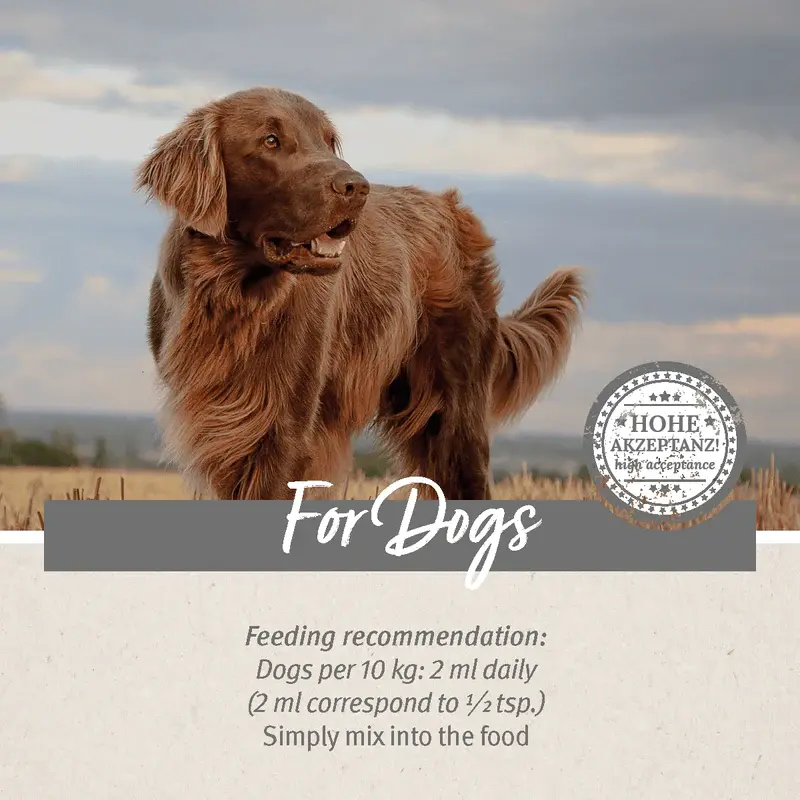 Thumbnail: Premium Feed Oil for Dogs 500ml