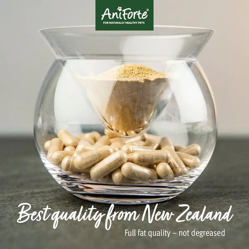 Green Lipped Mussel Capsules 100