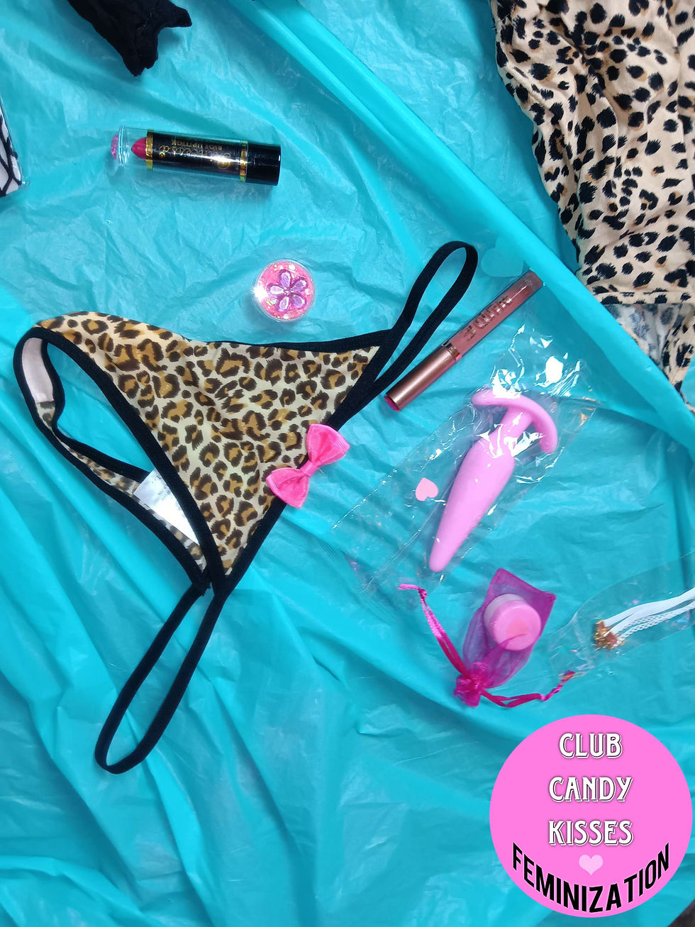 Thumbnail: The BIMBO Bundle 