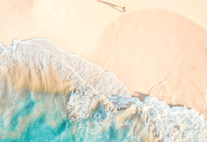 salmon ocean_edited_edited.jpg