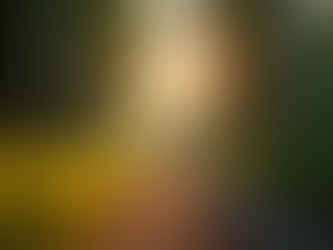 Natural Ways to Support Your Nervous System