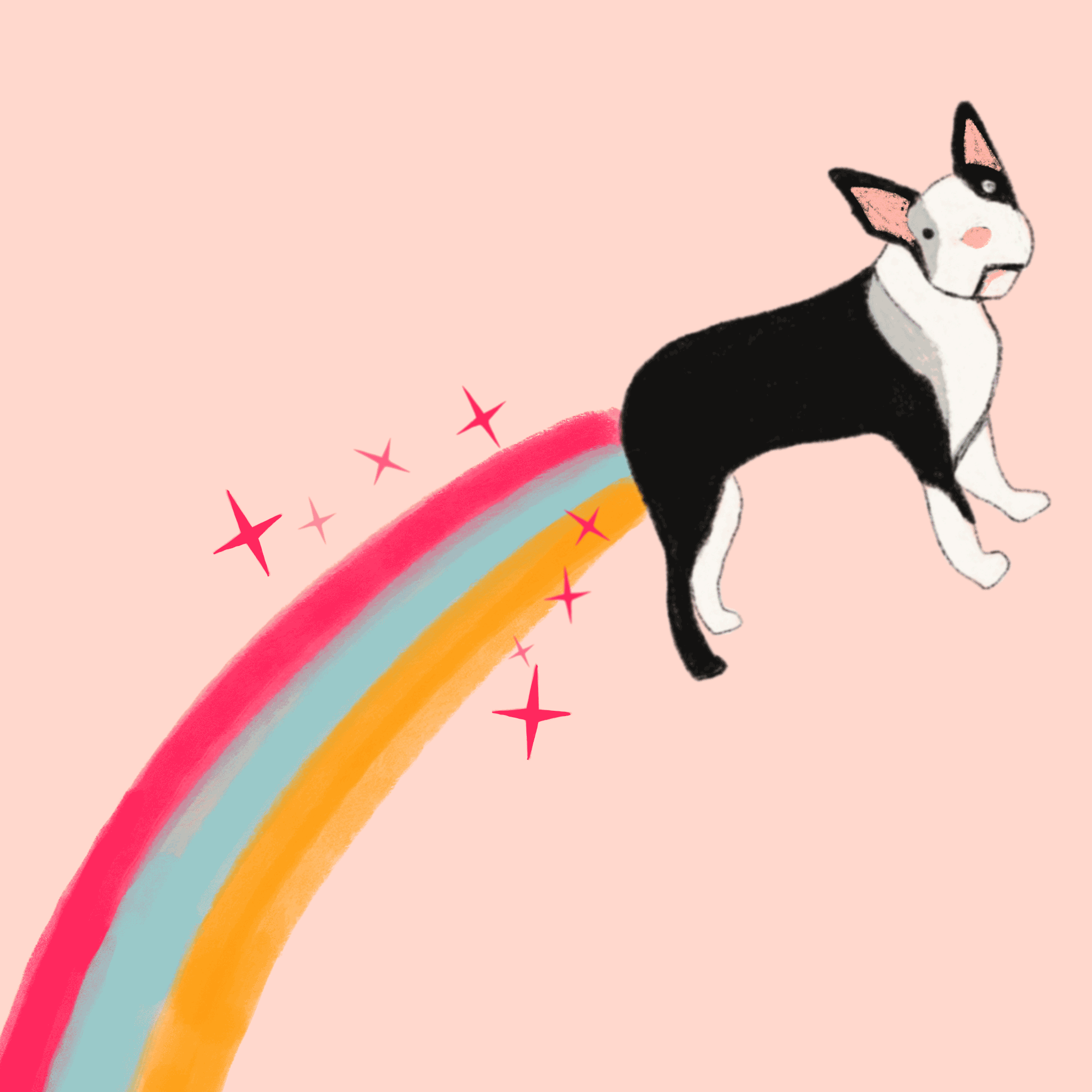Dog-Rainbow