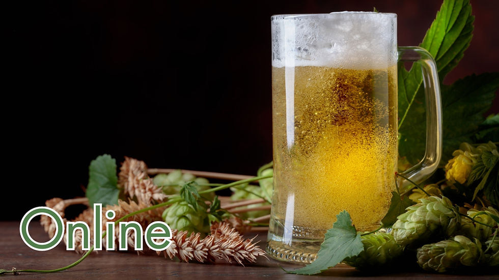 Die Welt der Bio-Biere